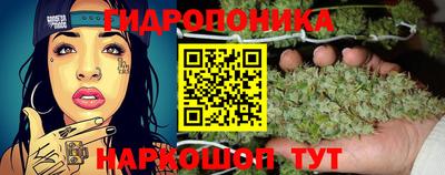 мет Дмитров