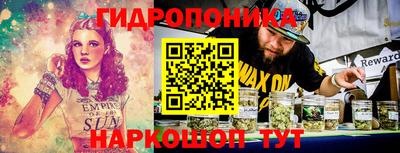 мет Дмитров