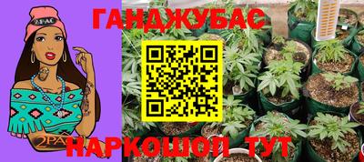 мет Дмитров