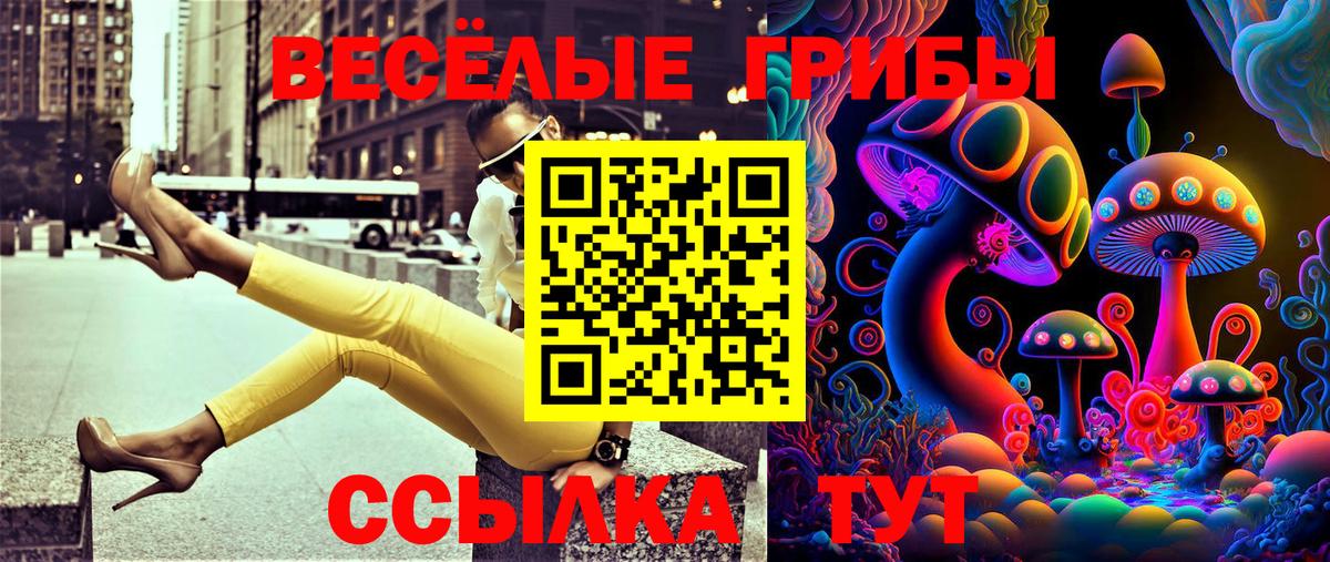 Сургут  Галлюциногенные грибы мухоморы  Вход с VPN  Псилоцибиновые грибы Psilocybine cubensis 