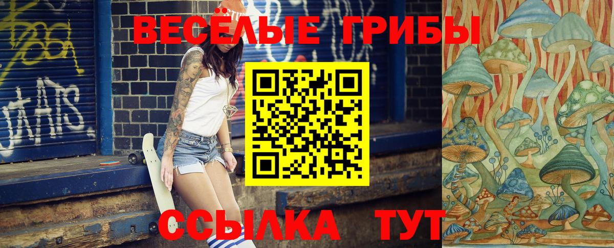 Псилоцибиновые грибы прущие грибы Сургут